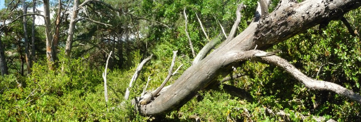 Urrozgoitiko gailur itxia, mendizalearen infernua