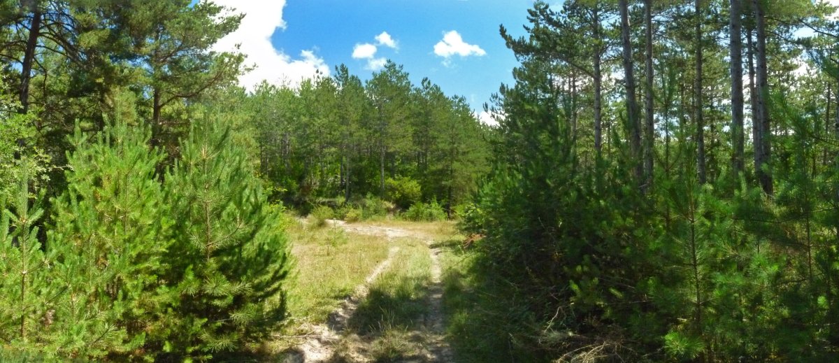 Urrozgoitiko mendebaldeko lepoa