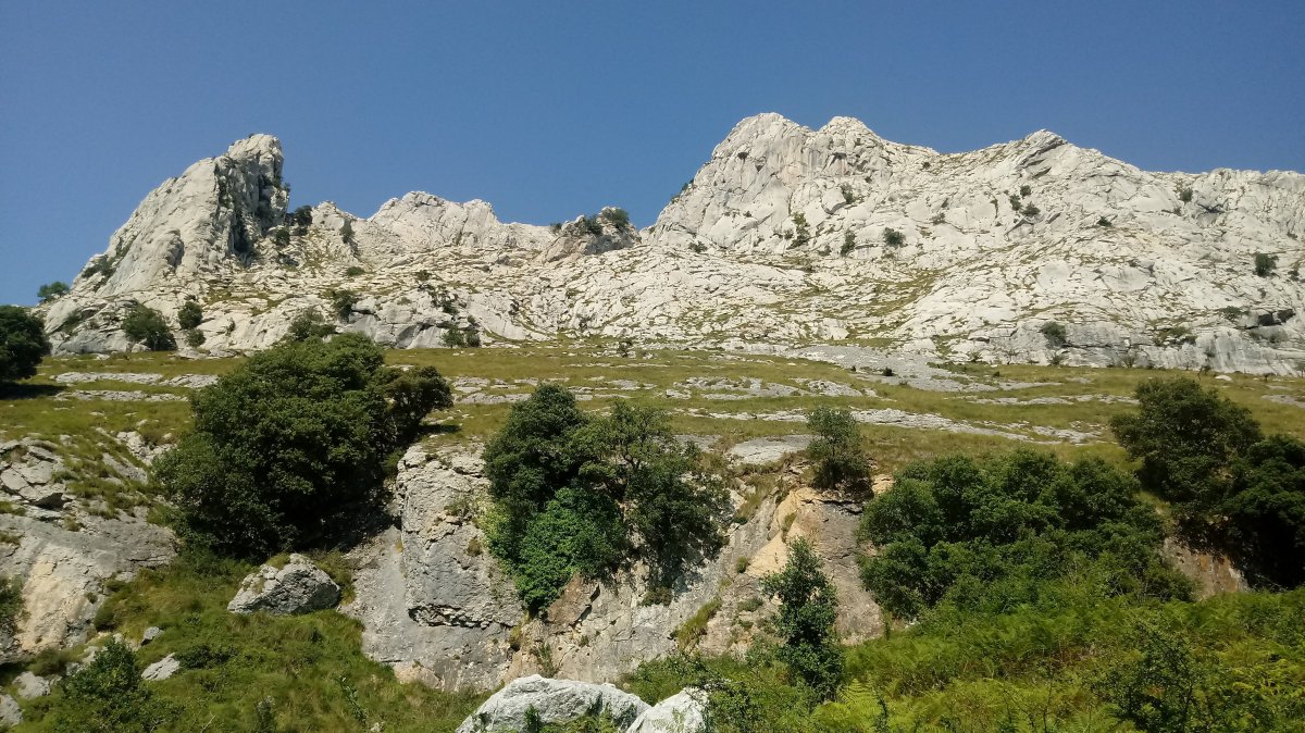 Untzillatx (941m) Elosua lepotik