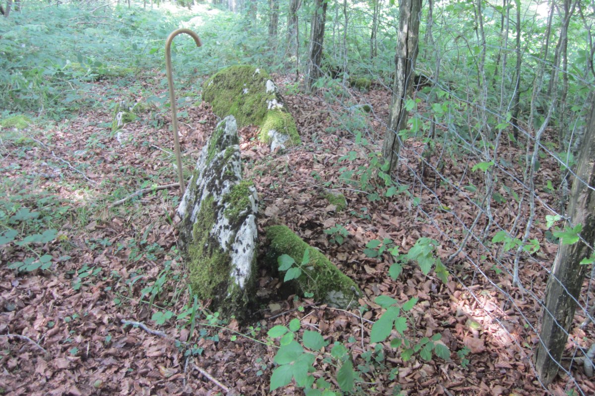 Dólmen Pitxortzarko Gaña (Julio 2019)