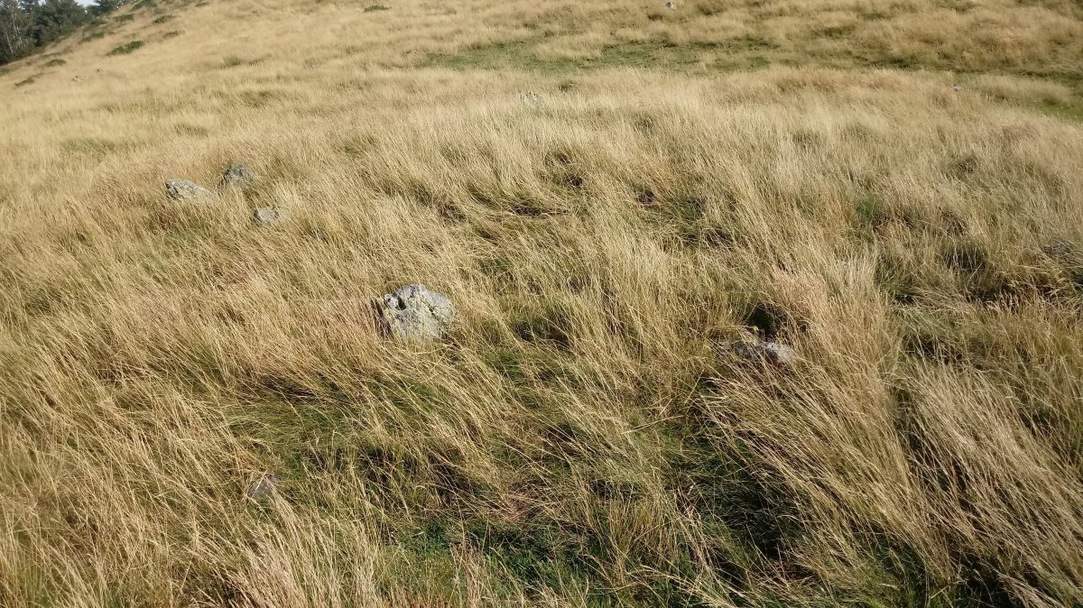 Xardeka harrespila I 2