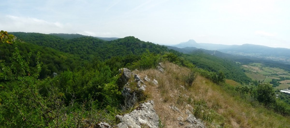 Auntzetako Harriko gandorra, eta Sakana