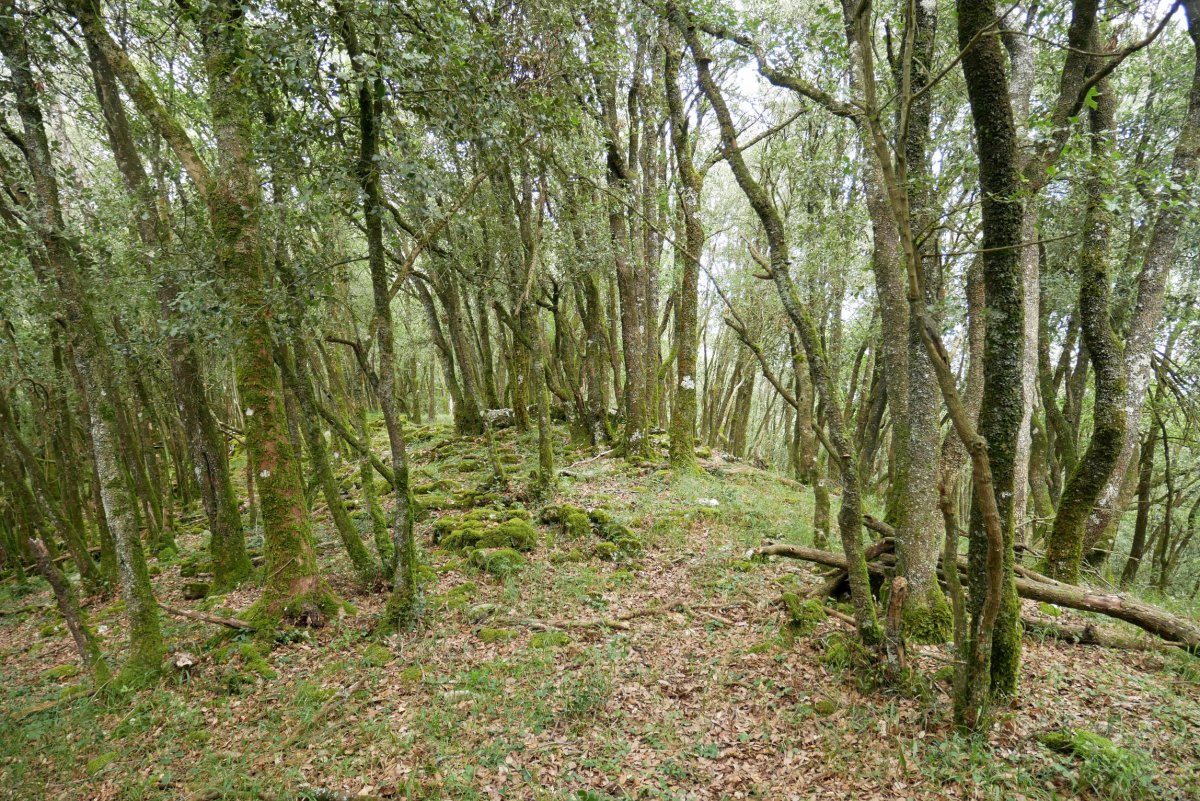 Artadia IMko bizkarrean