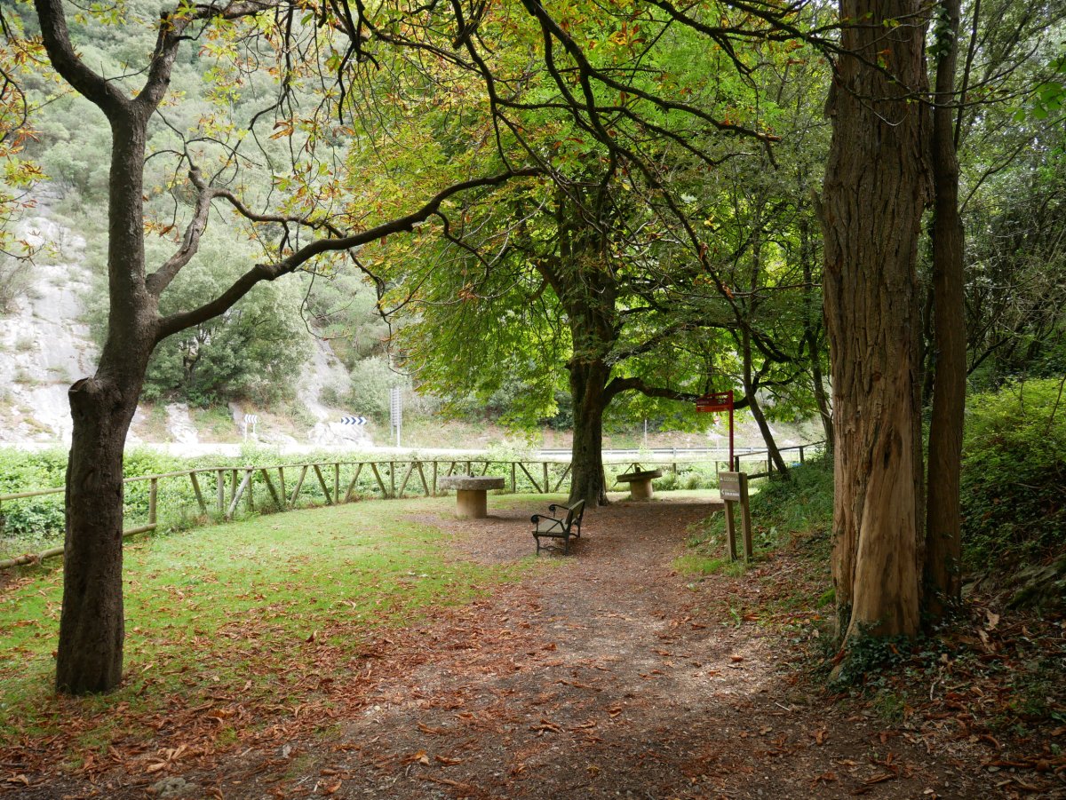 Dama-iturri inguruak