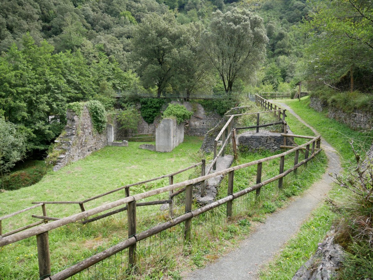 Goikola burdinola, Betelu