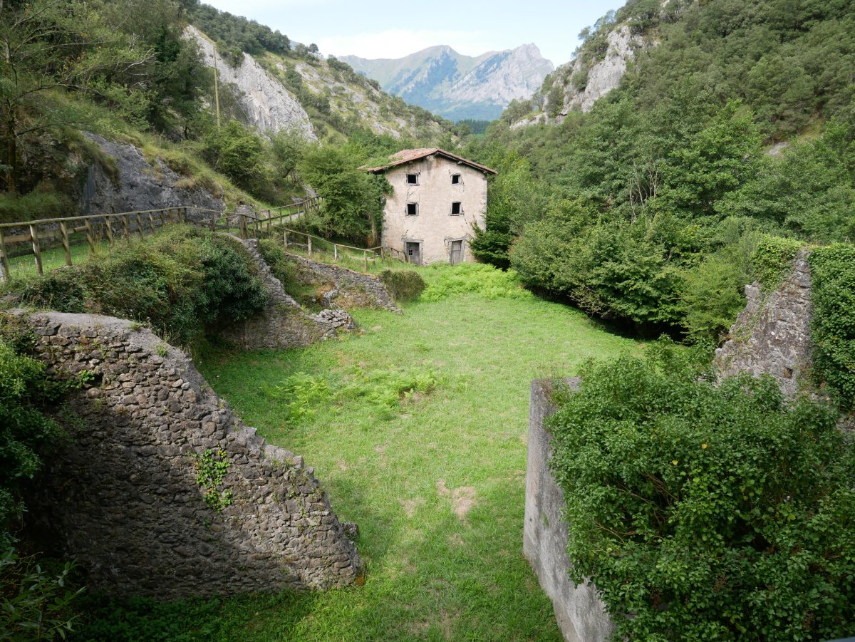 Goikola burdinola, Betelu
