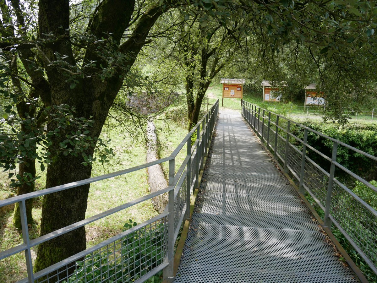 Goikola burdinola, Betelu