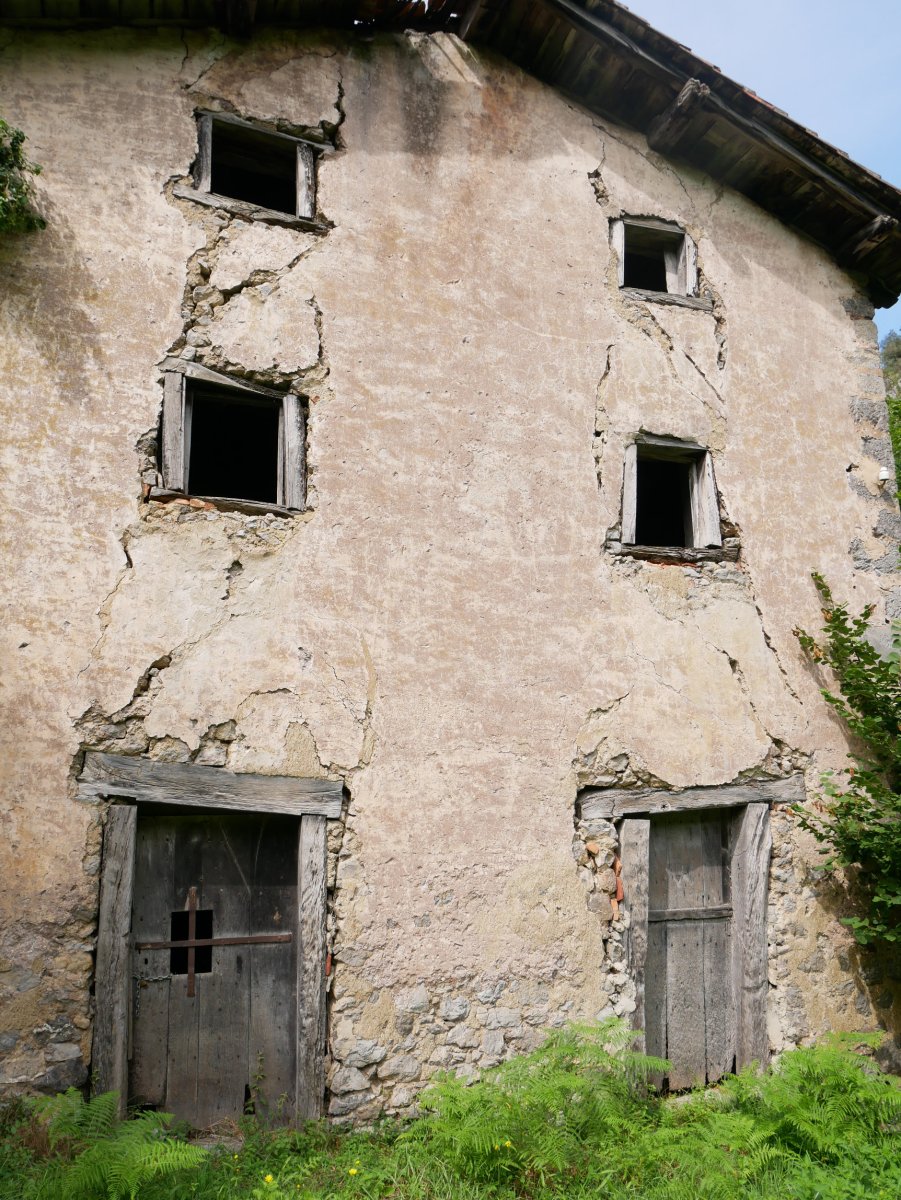 Goikola burdinola, Betelu