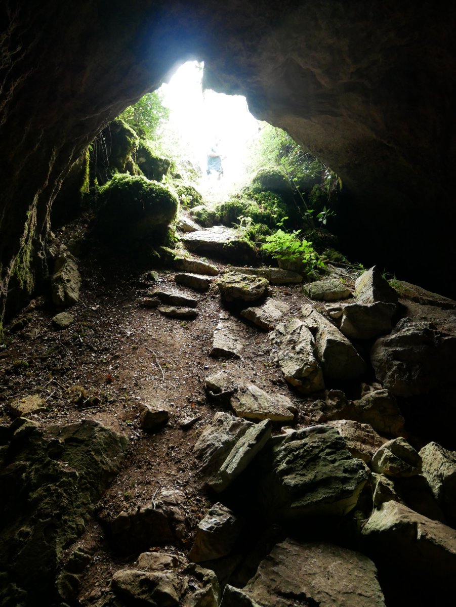 Mauletxe koba, Abaurregaina