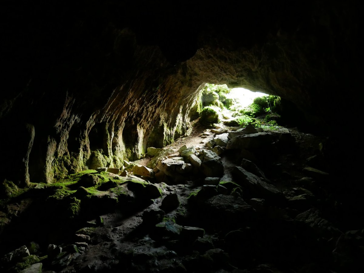 Mauletxe koba, Abaurregaina