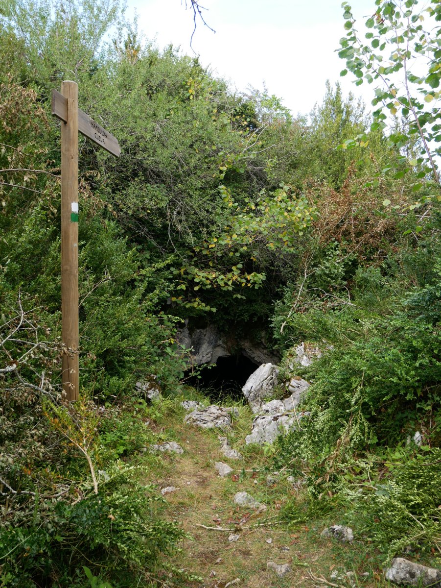 Mauletxe koba, Abaurregaina