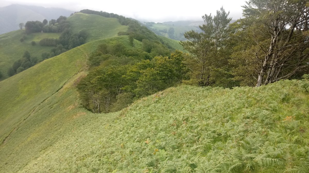 Urdesparri (1006m) eta Salteburua arteko lepoa