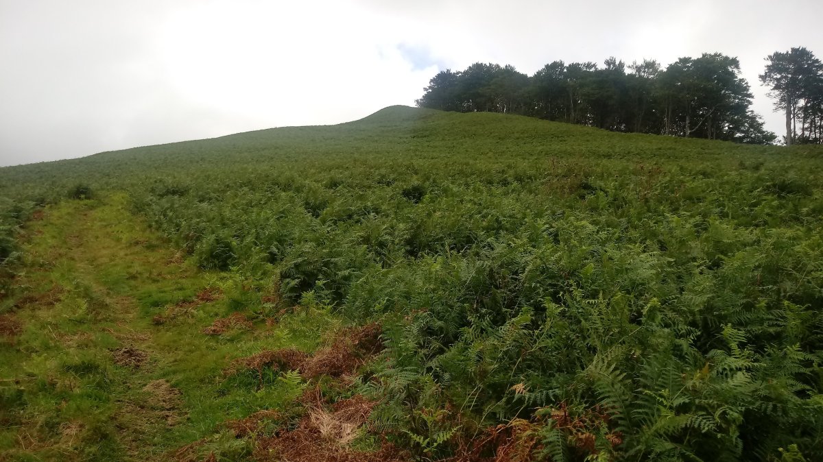 Urdesparri (1006m), azken zatia