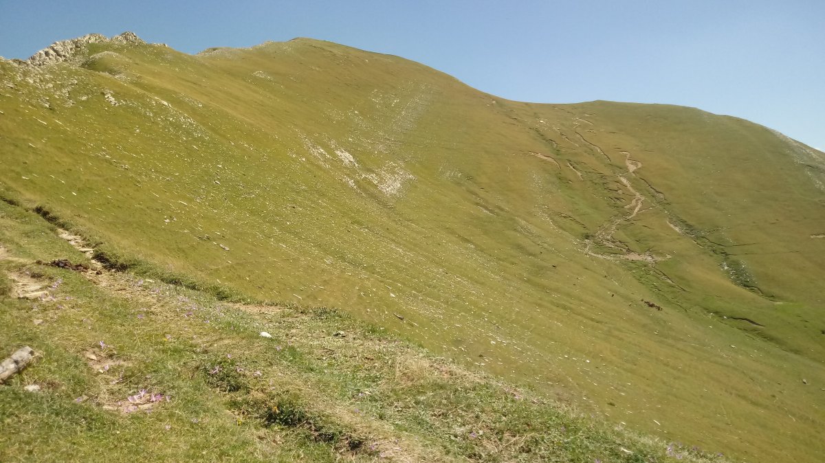 Orhi (2017m) hegoaldeko magala