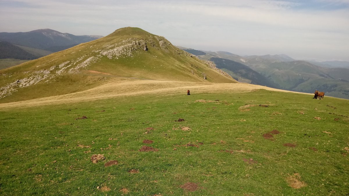 Errozate (1345m) mendia