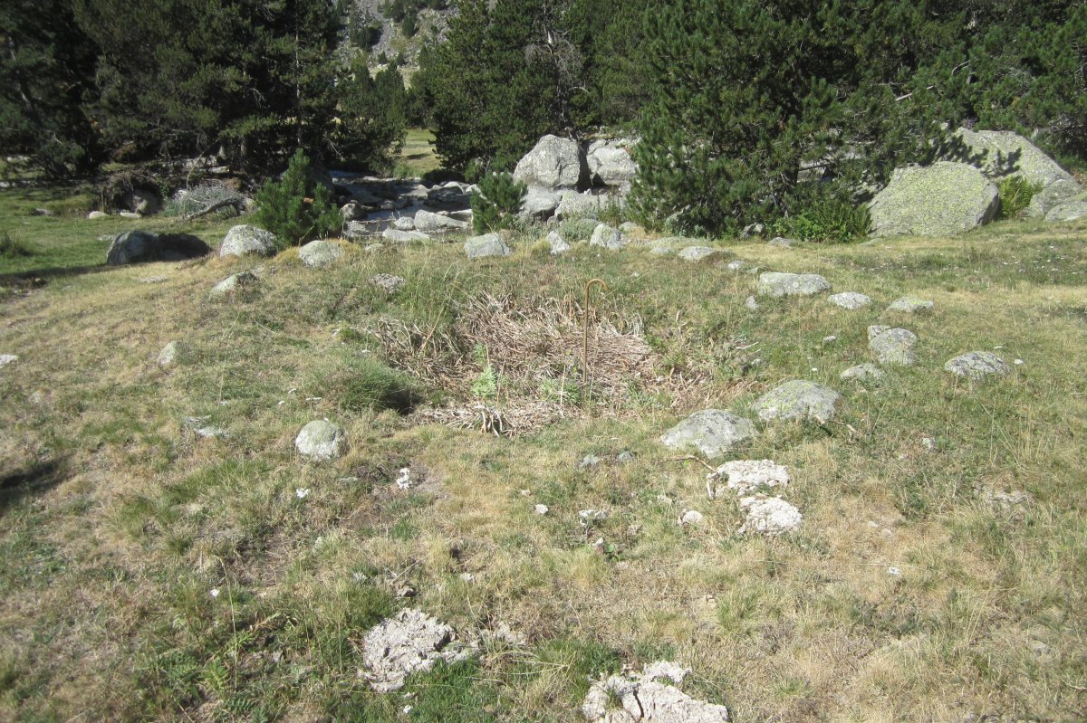 Cromlech Forau de la Llana (Septiembre 2019)