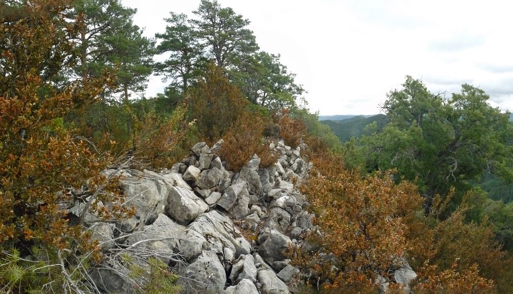 Esteleskiko gailurra