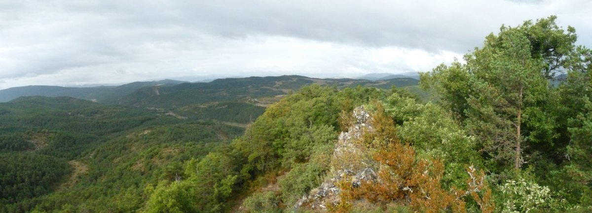 Añukiko mendebaldeko gandorra, tako geodesiko baten jabe