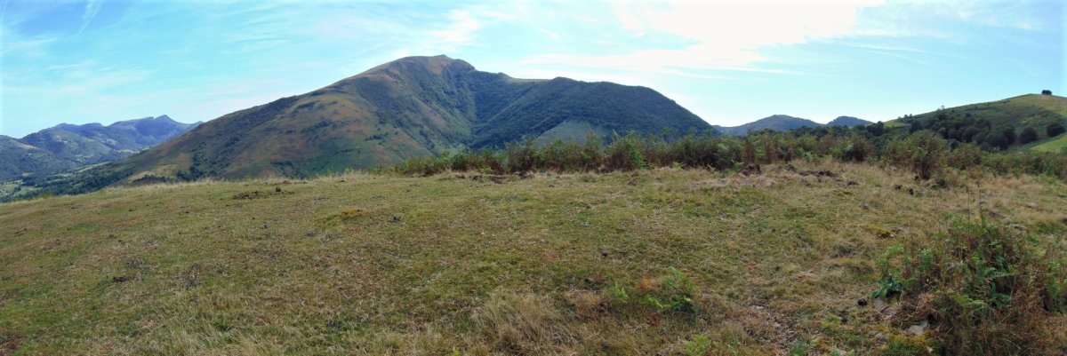 Tontorra. Atzean, Auza