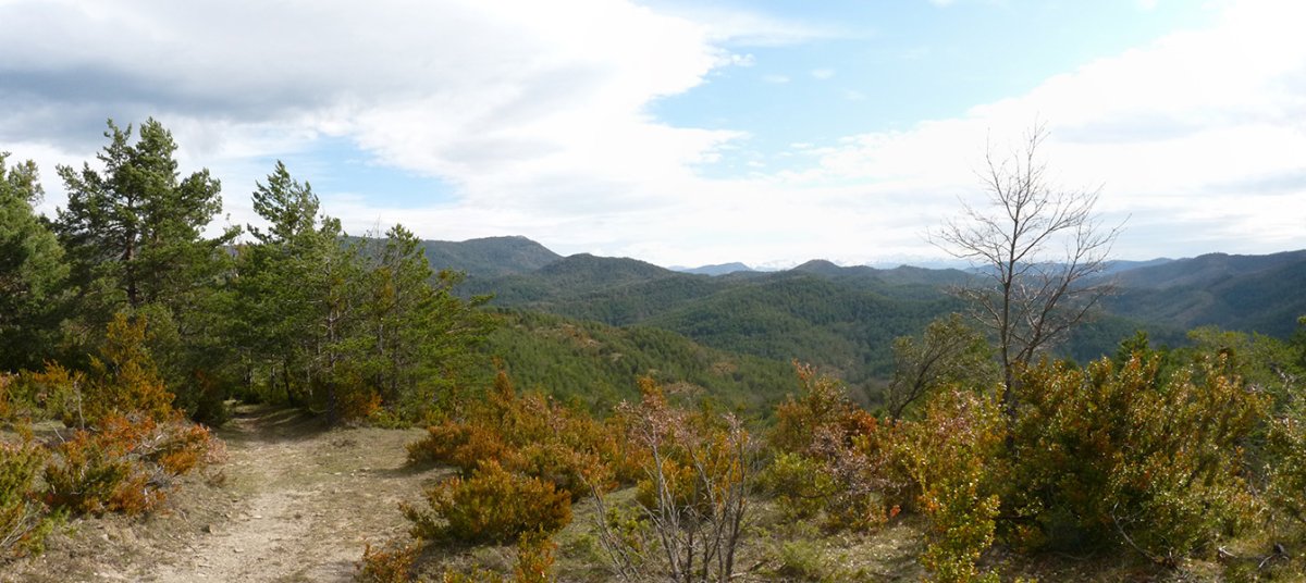 Bidea Zelaiiganako gainaldean