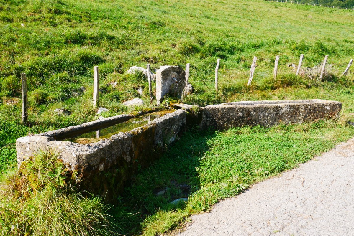 Iturria, Berueteko bidean