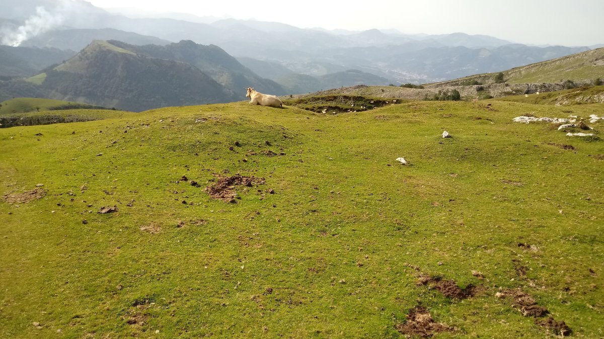 Liztorriturri etxola hondoa 2