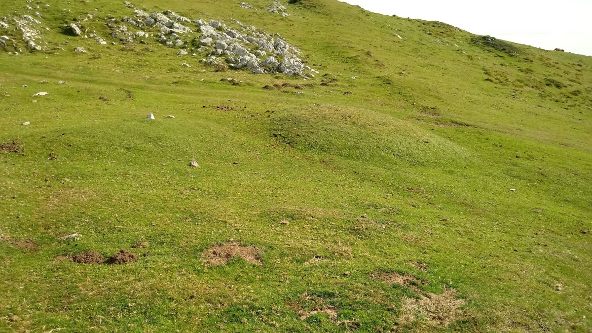 Liztorriturri etxola hondoa (2019)