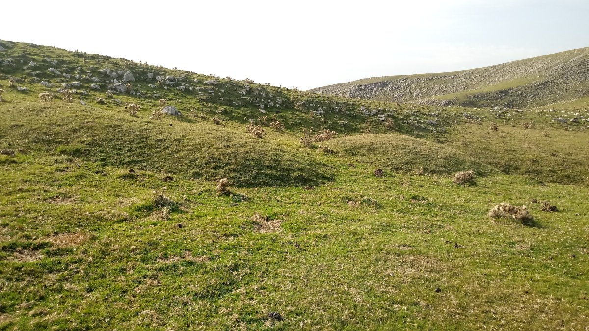 Pontoa III eta IV (Urrusti) etxola-hondoak