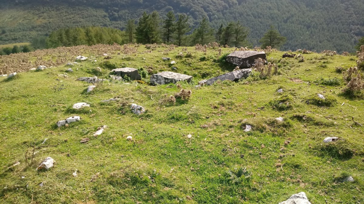 Argarbi trikuharria 3