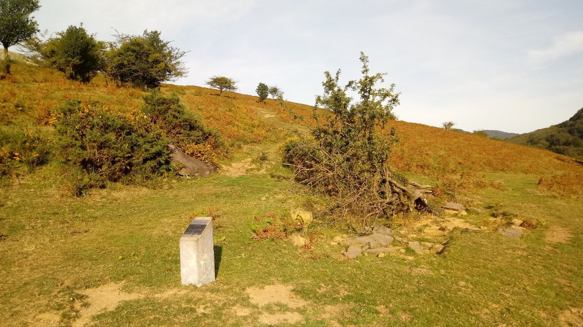 Naparbidea zutarria 3