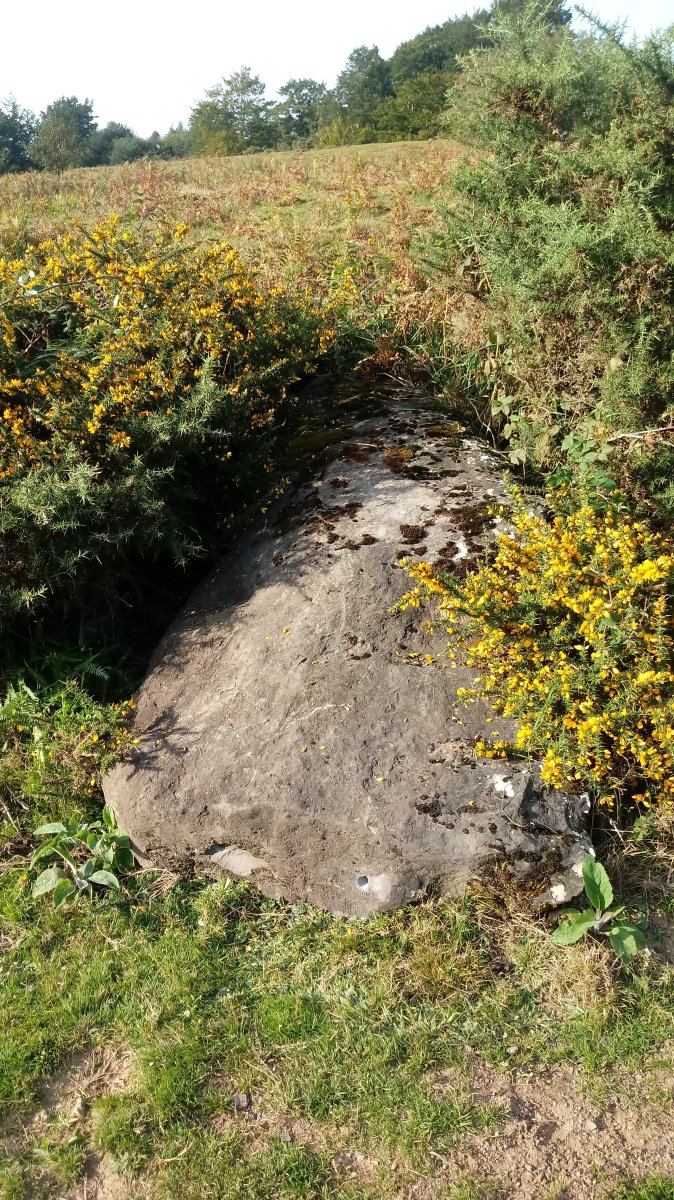 Naparbidea zutarria 2