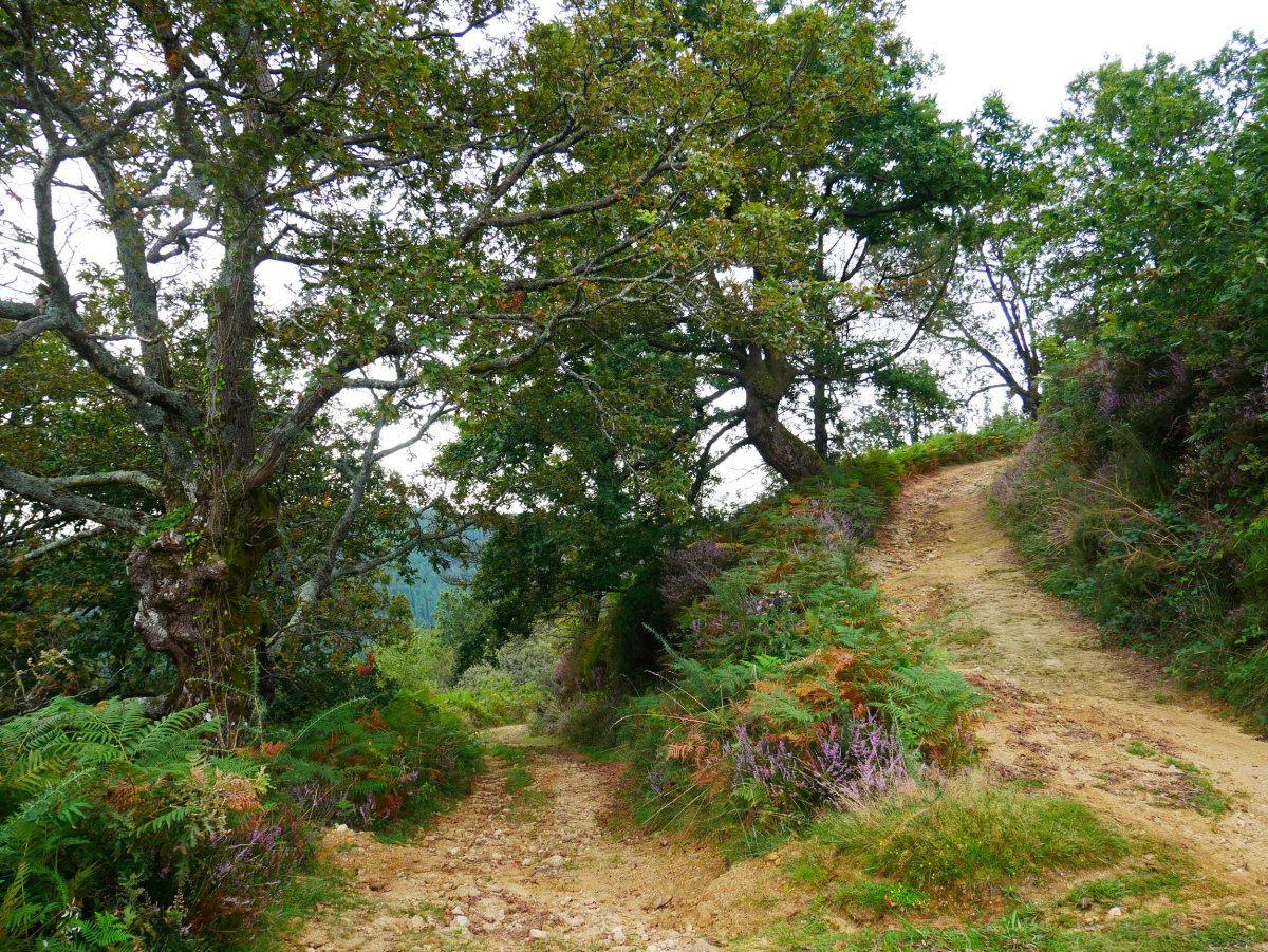 Igoerako pasarte bat