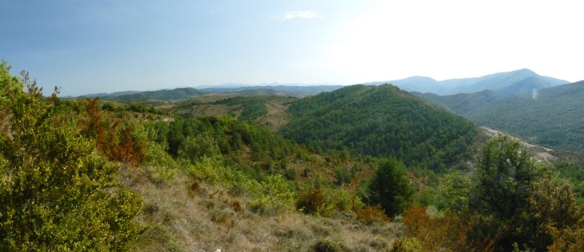 Montetes mendia, Beloriztik