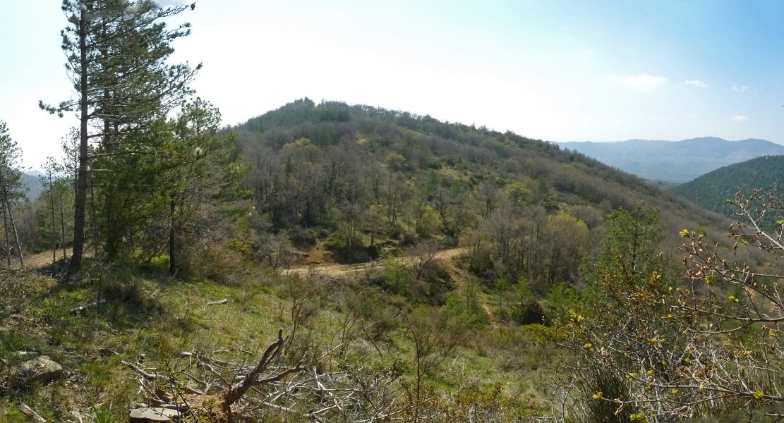 Artealdea, iparreko lepotik