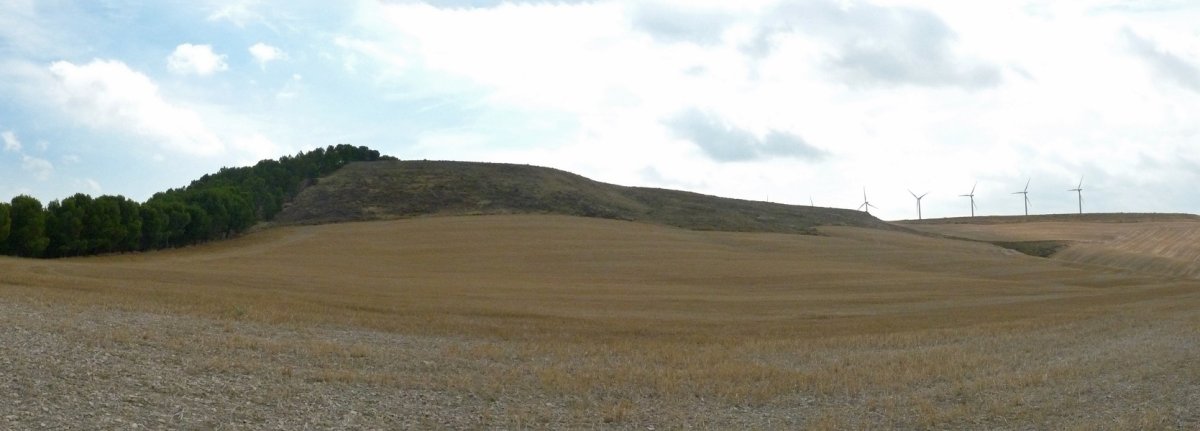 Ropero gaina, hegoaldetik