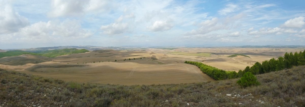 Paisaia zabala Sasotik