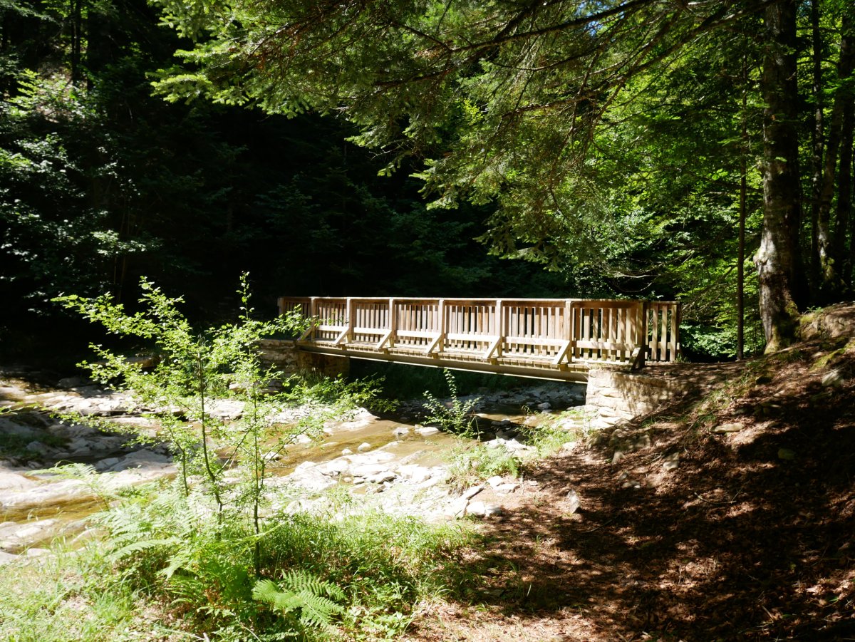 Zurezko zubi ederra Idorra errekaren gainean, Irati.