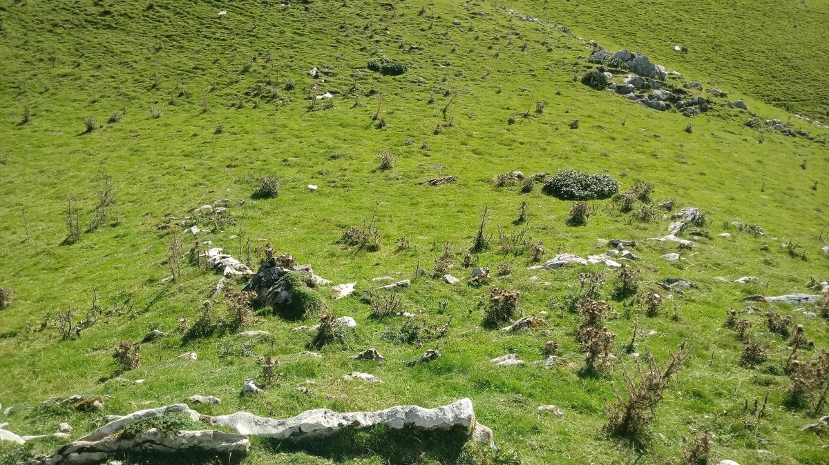 Pistako harrespila (2019)