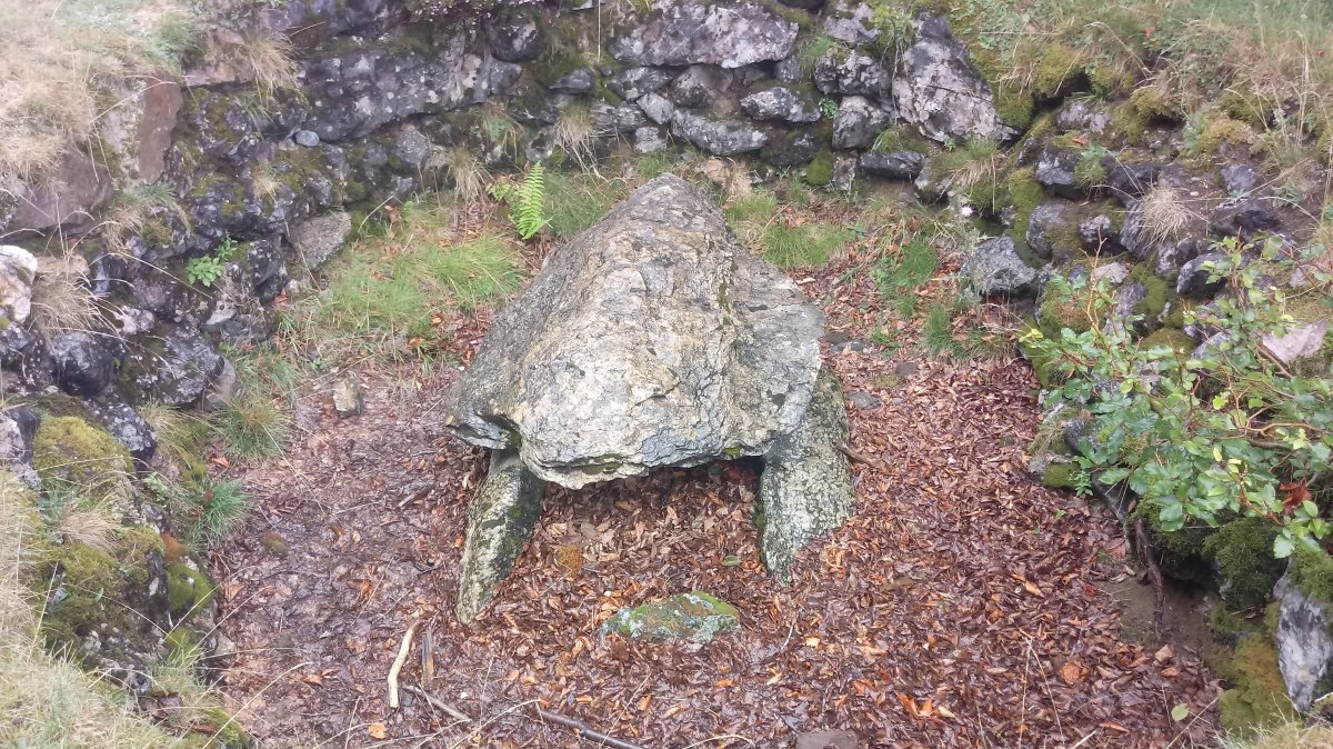 Bagargi trikuharria 2