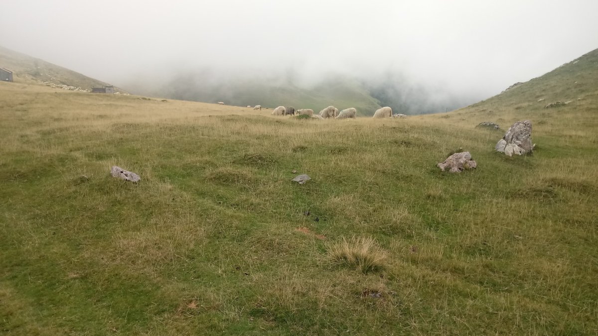 Millagaateko harrespila I 3