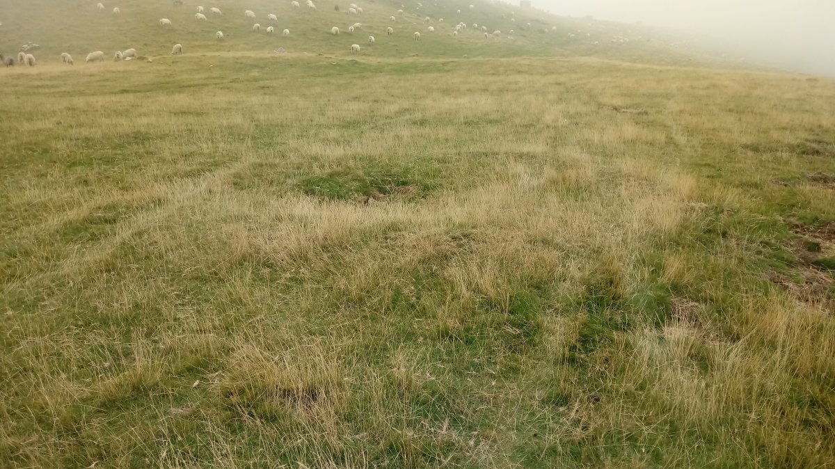 Millagaateko tumuloa (2019)