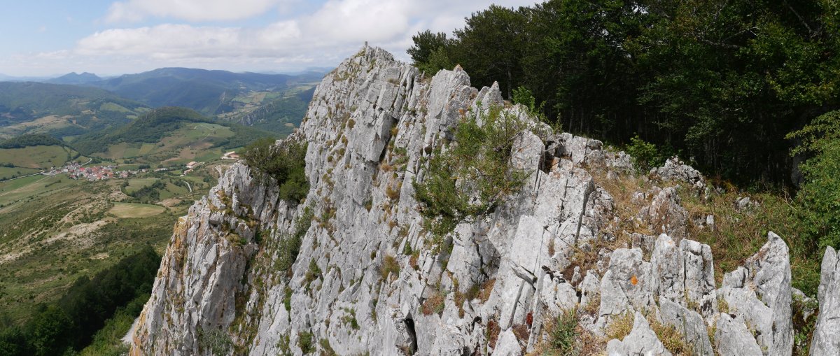 Tontorra Etik, Berrendi