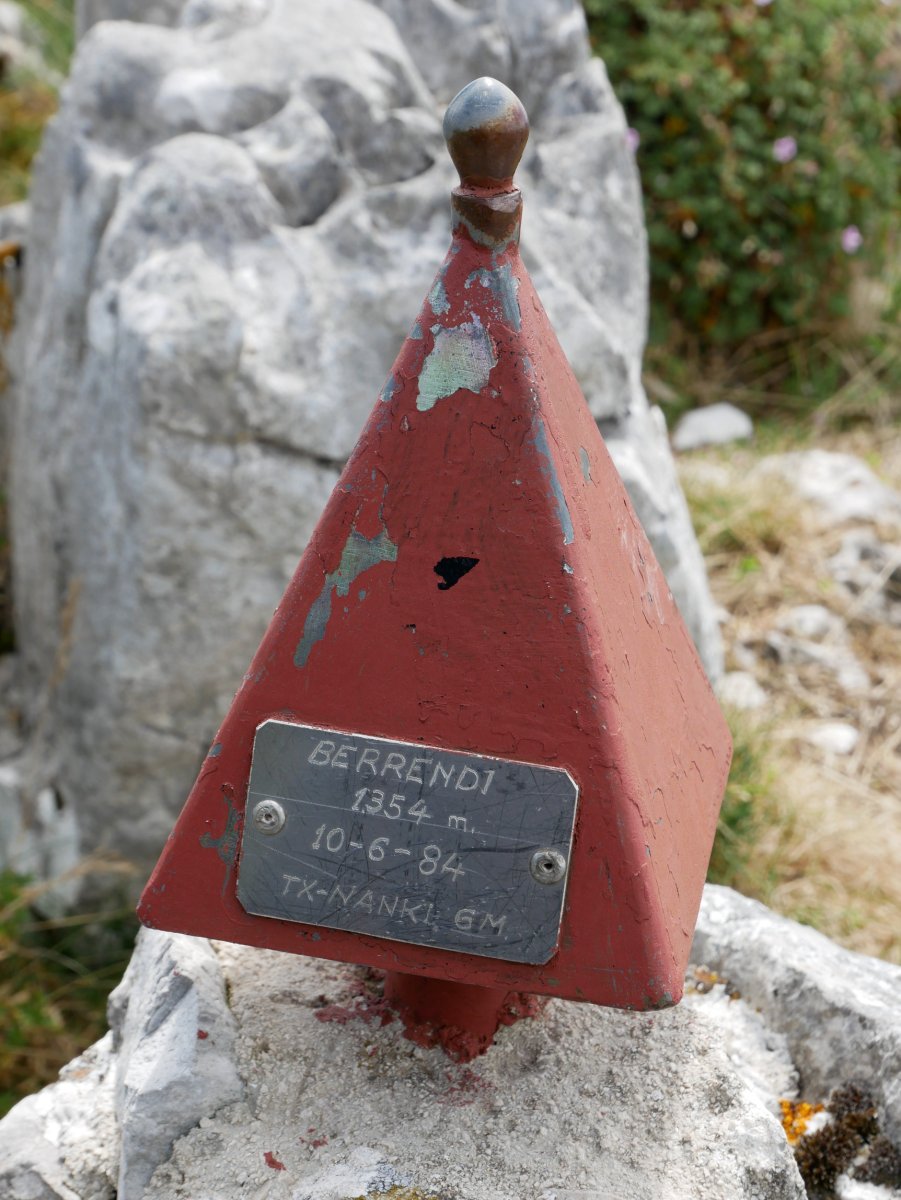 Txartelontzia, Berrendi