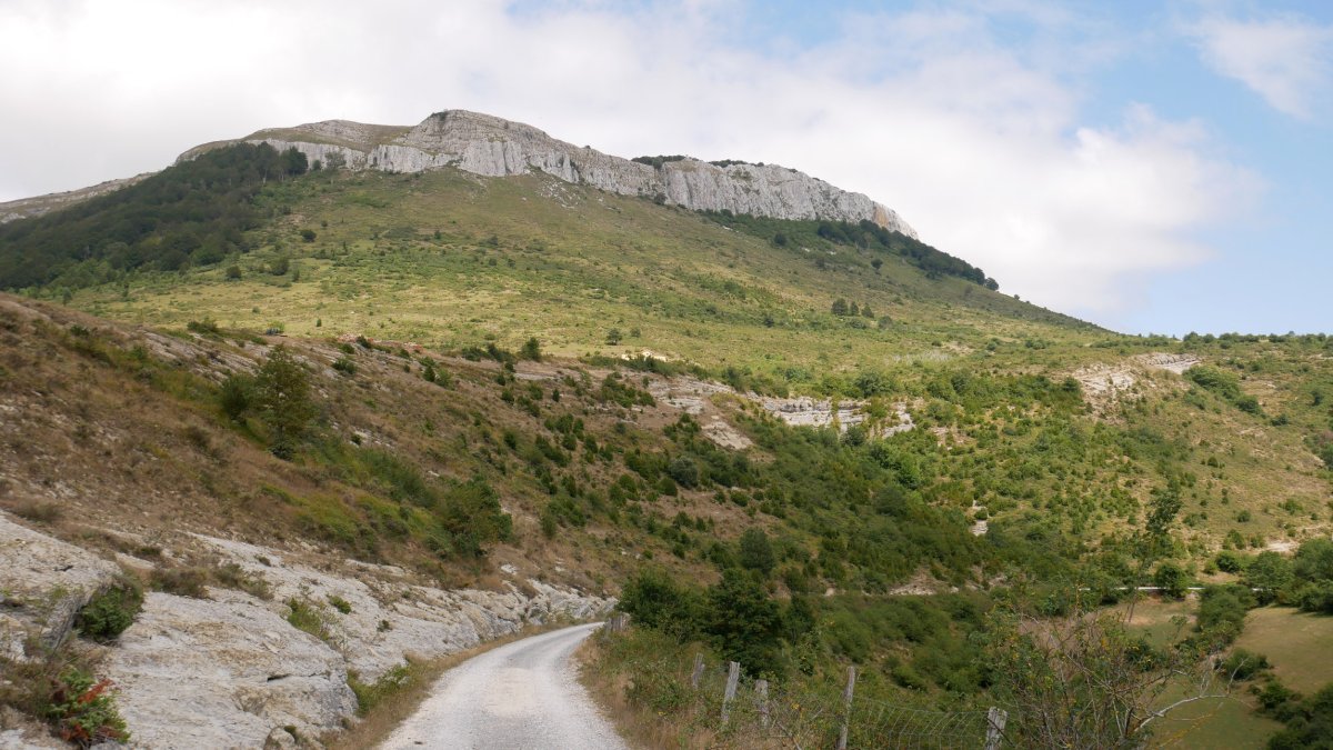 Berrendi, Hiriberri aldetik