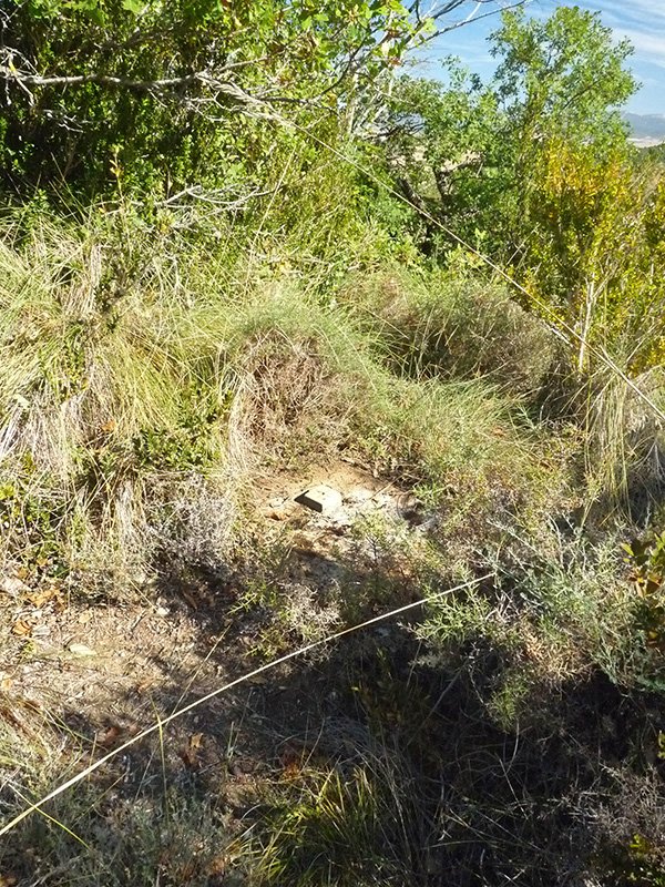 Tako geodesikoa ipar gandorrean