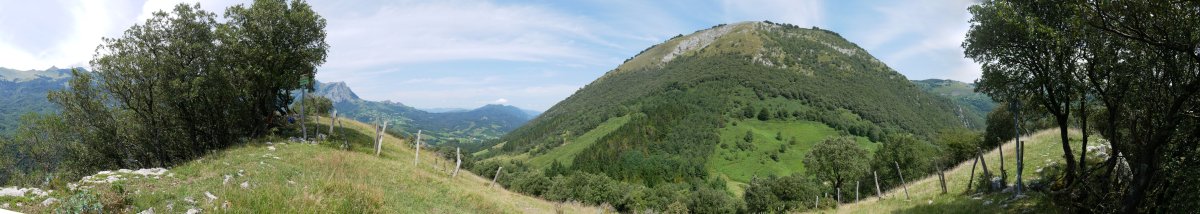 Arritxu tontorra eta Elosta