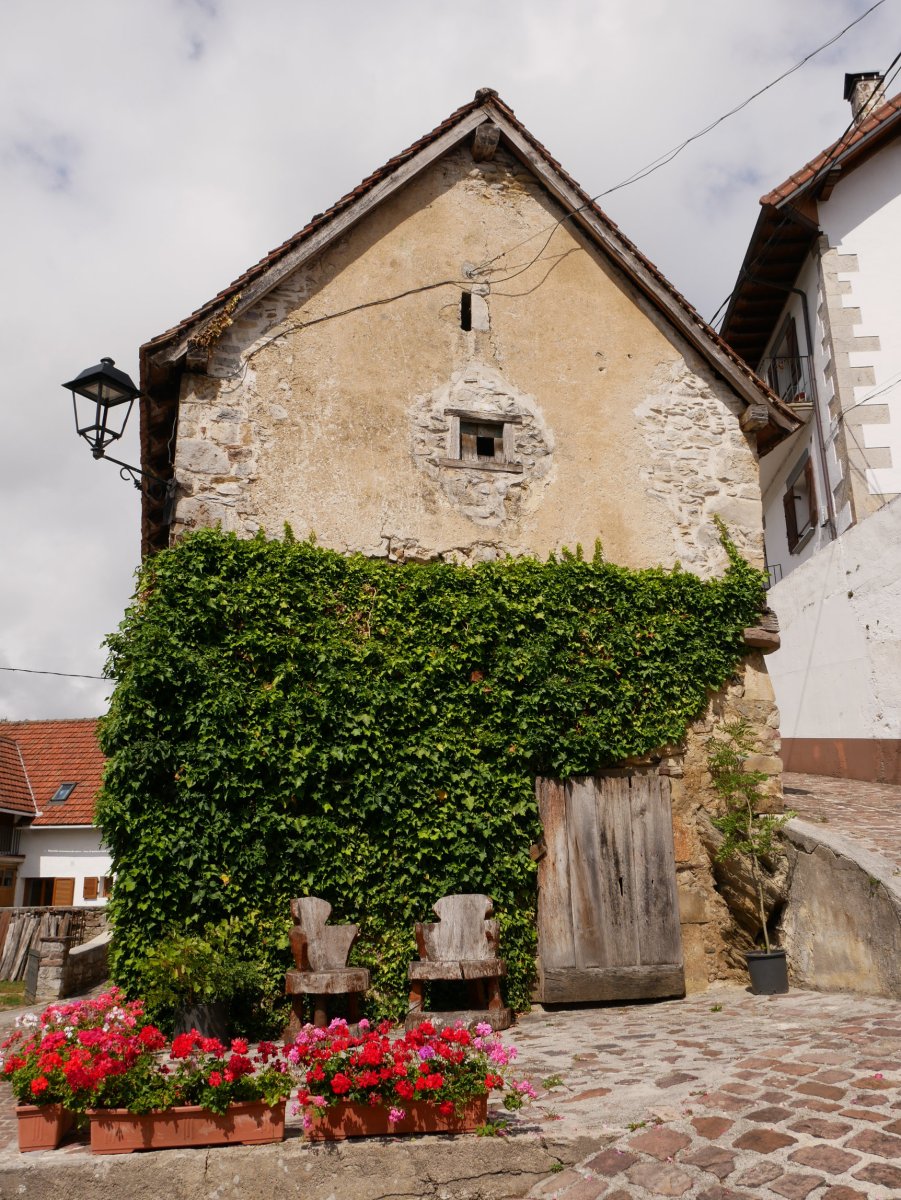 Domentx garaia, Aribe