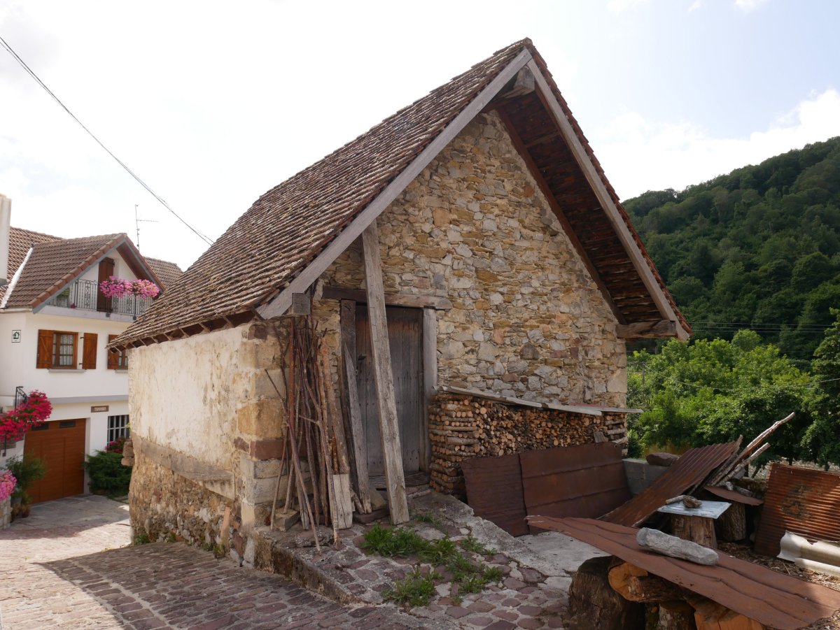 Domentx garaia, Aribe