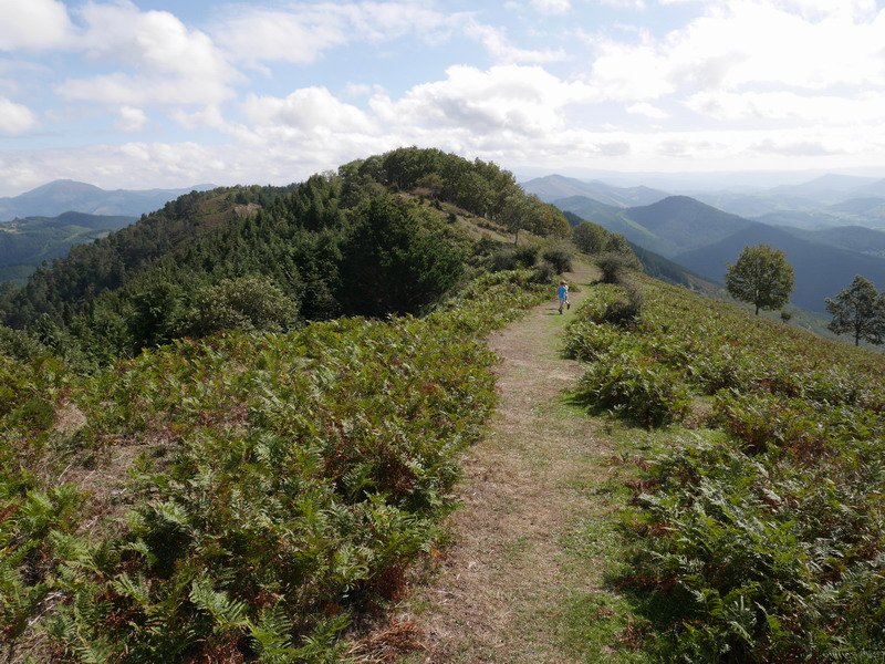 Espaldasecaren ekialdeko bizkarra