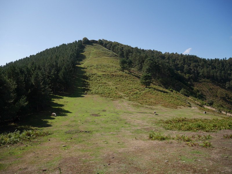 Rioya ipar-ekialdetik ikusita